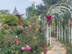 -东莞植物园