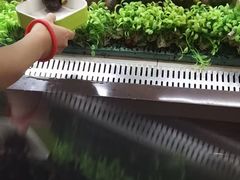 -东吴水韵(吴中店)