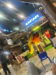 -卡通尼·Safari非洲探索乐园·生日会(金桥国际商业广场店)