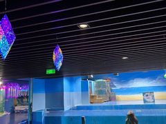 -沙沙哗啦海洋馆(华宇百花谷店)