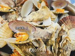 -宾朋海鲜饭庄(兴海路店)