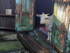 -太极禅苑