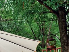 -成都市活水公园