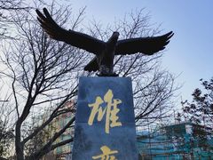 -南京老山国家森林公园
