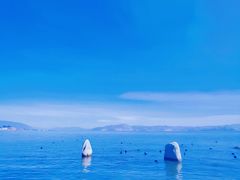 -洱海月湿地公园