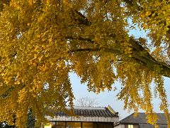 -自如ZSPACE四合院艺术餐厅