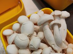 -喜歪歪·平价海鲜市场小火锅(龙阳广场店)