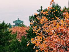 -北京西山国家森林公园