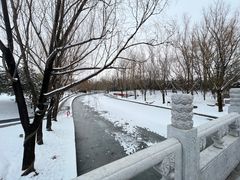 -朝阳公园