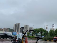 -张钰强中医正骨推拿连锁(唐家人才公寓店)