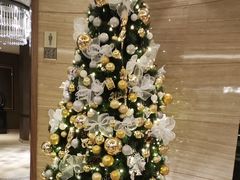 -索菲特酒店·海鲜自助 ·聚餐厅