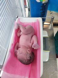 -北京俪婴妇产医院(朝阳大悦城店)