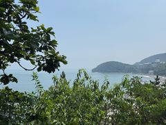 -棒棰岛宾馆景区