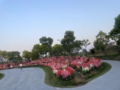 -春花秋色城市公园