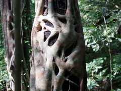 -七仙岭温泉国家森林公园