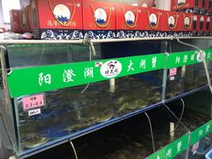 -阳澄湖大闸蟹·琼灵阁牌品牌连锁(吴中总店)
