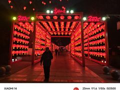 -绵阳人民公园(涪城区)