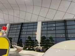 -郑州新郑国际机场-T2航站楼