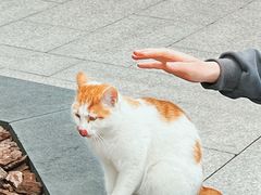 -龙华寺
