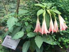 -广州神农草堂中医药博物馆