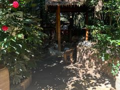 -云涛森林温泉
