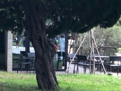 -星巴克(大濠公园店)