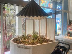 -春树下·树屋花房西餐厅(罍街AS1980店)