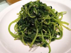 蒜蓉鸡毛菜-金海湾海鲜总店