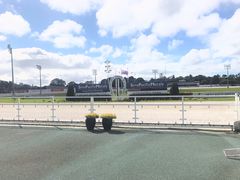 -馬車會海鮮酒樓