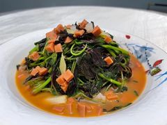 -春茗熙
