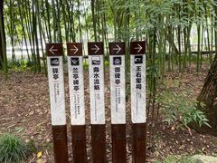 -兰亭风景区