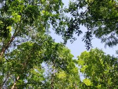 -河南省黄河迎宾馆