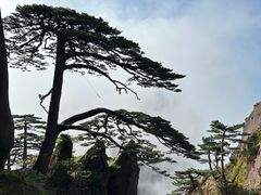 -黄山风景区