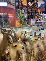 点击看大图 -卡通尼·Safari非洲探索乐园·生日会(金桥国际商业广场店)