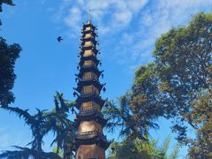 -香园自助小火锅