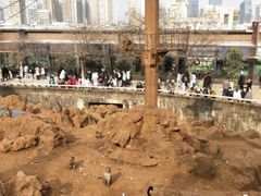 -昆明动物园