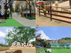 -盈香心动乐园