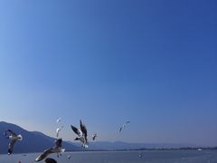 -滇池海埂公园