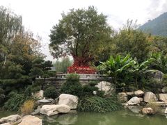 -西安华清御汤酒店