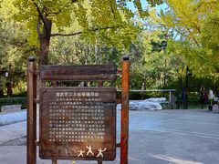 -宣武艺园