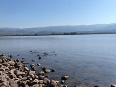 -西昌邛海湿地