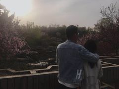 -石家庄市植物园