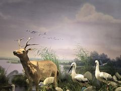 -湖南省地质博物馆