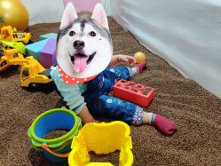 -熊孩子儿童主题乐园(八方地下商场店)