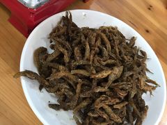 -黄牛肉馆·皖南土菜
