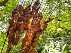 -秦岭风景区