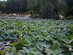 -咸阳湖景区-统一广场