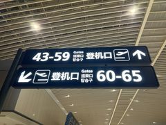 -青岛胶东国际机场