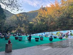 -西双版纳原始森林公园
