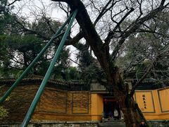 -惠山古镇·寄畅园